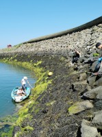 Riprap cleaning